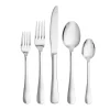 Arlo Mirrored 18/10 Stainless Steel 20 Piece Flatware Set, Service For 4