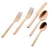 Atlas Matte Copper 18/0 Stainless Steel 20 Piece Flatware Set, Service For 4