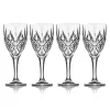 Dublin Acrylic Goblet, Set of 4