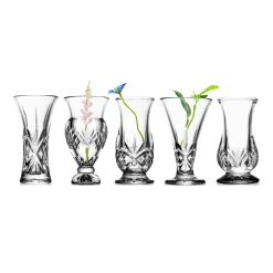 Dublin Crystal 5 Piece Bud Vase Set