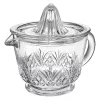 Dublin Crystal Juicer