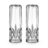 Dublin Crystal Salt & Pepper Shaker Set