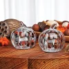 Harvest Pumpkin Salt & Pepper Shaker Set
