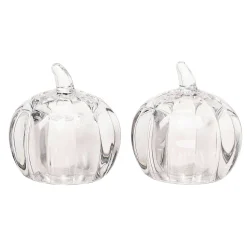 Harvest Pumpkin Salt & Pepper Shaker Set