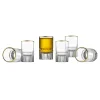 Latitude Gold Rim Shooters, Set of 6