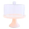 Lucente Pink Resin Cake Stand & Dome
