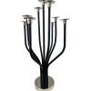 Radiant Tree 9 Light Black & Silver Candelabra