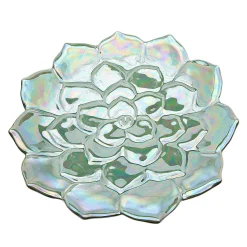 Succulent Salad Plate