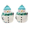 Winter Weather Snowman Salt And Pepper Shaker Set